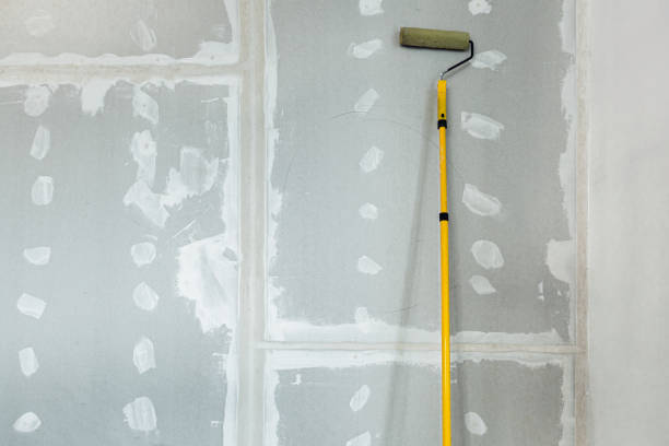 Best Water-Damaged Drywall Repair  in South Oroville, CA